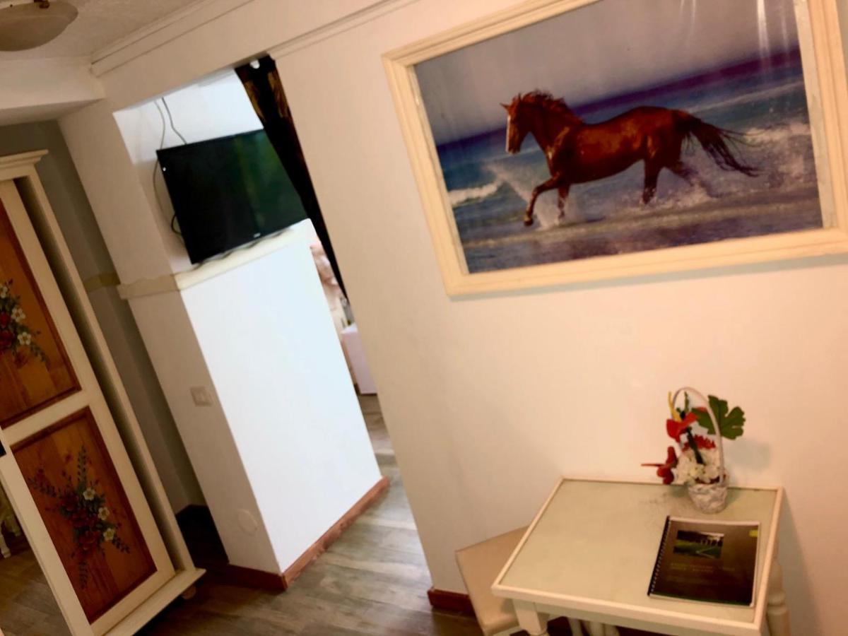 Vila Horia Bradet Săcele Exteriör bild